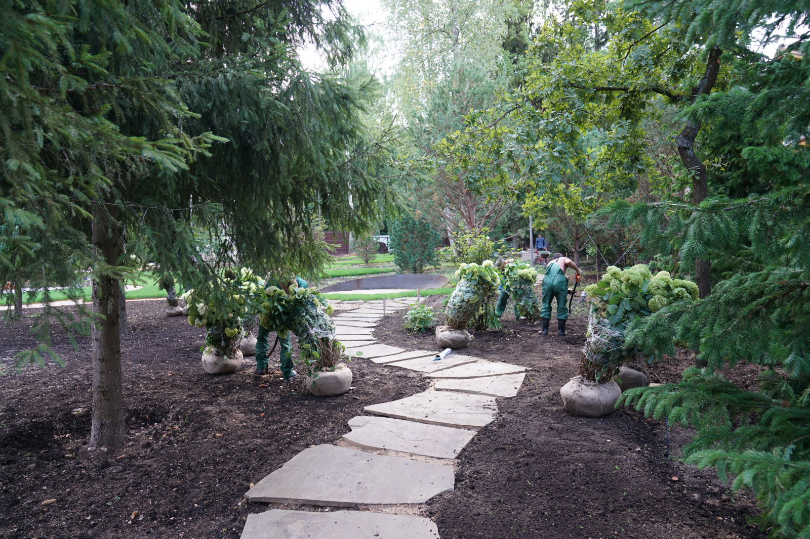 Круговорот  цвета. КП Дубровка. 2021
