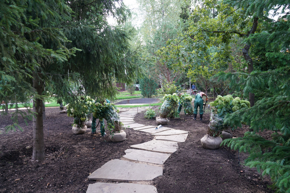 Круговорот цвета. КП Дубровка. 2021