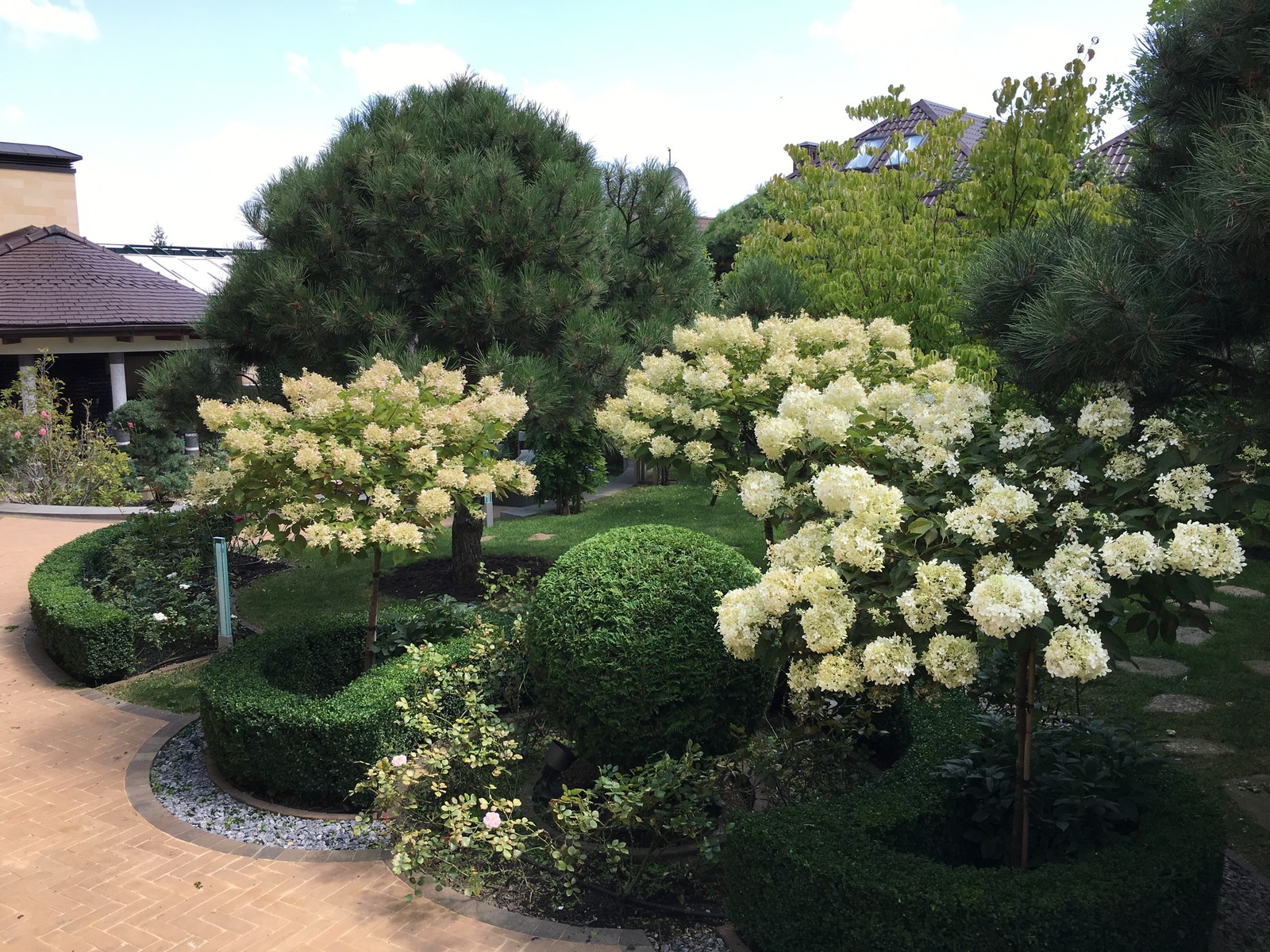 Итальянский сад с пиньями в городе