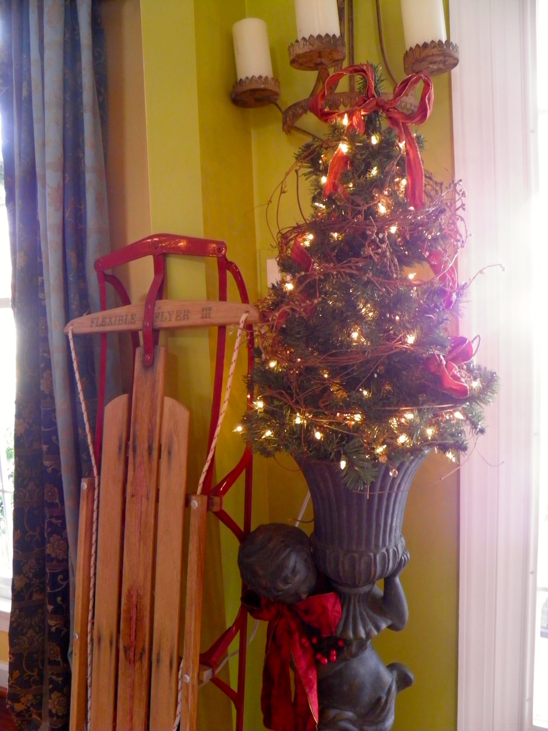 Новогодняя ель в горшке: Можно ли сохранить ее до весны