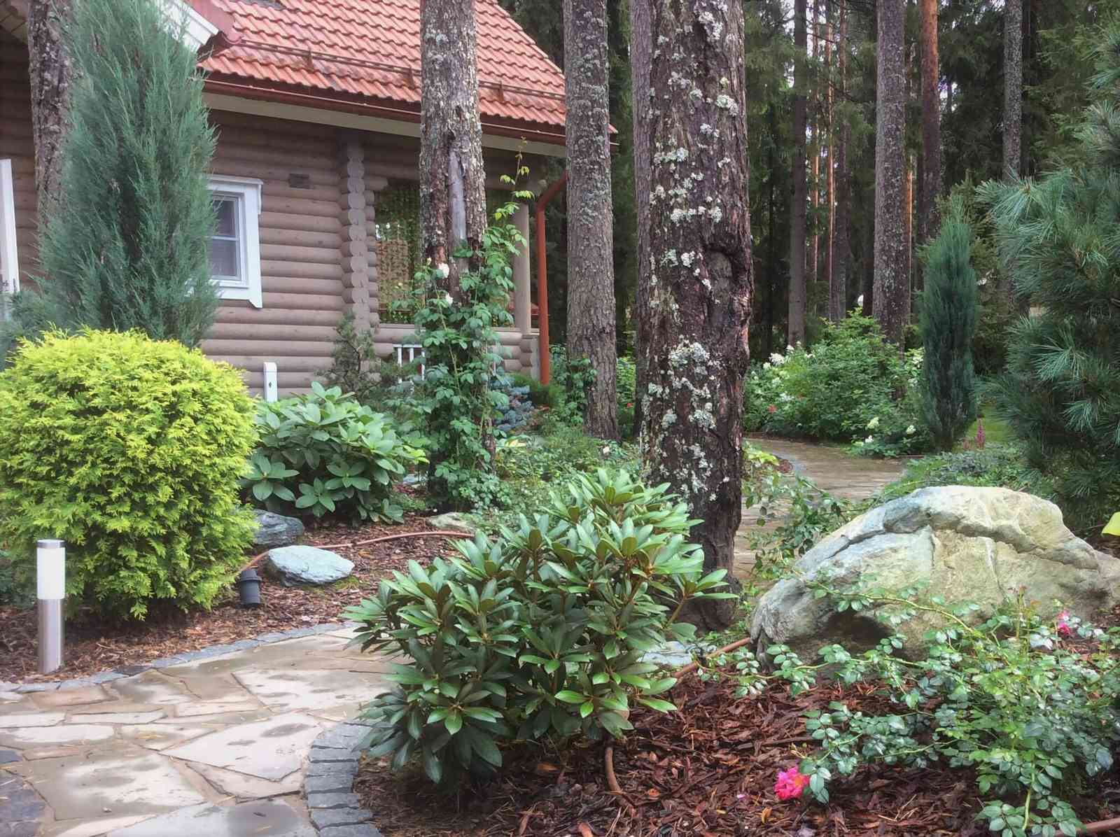 ШЕРВУДСКИЙ ЛЕС