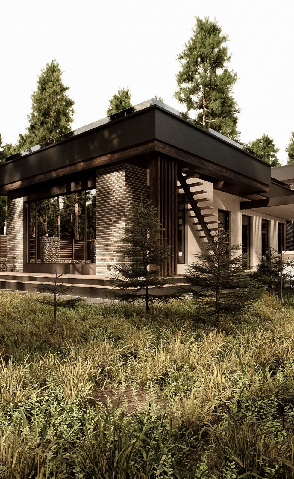 Фасады частного дома в Санкт-Петербурге