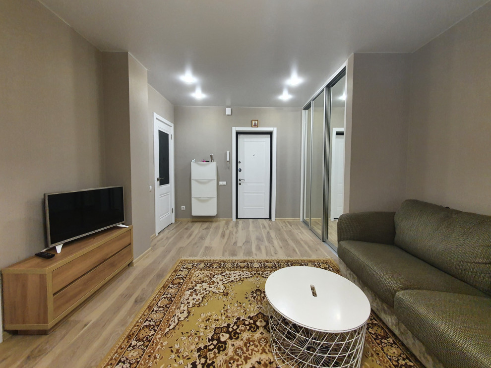 Переделка существующей гостиной-спальни-прихожей 23,26 м/кв