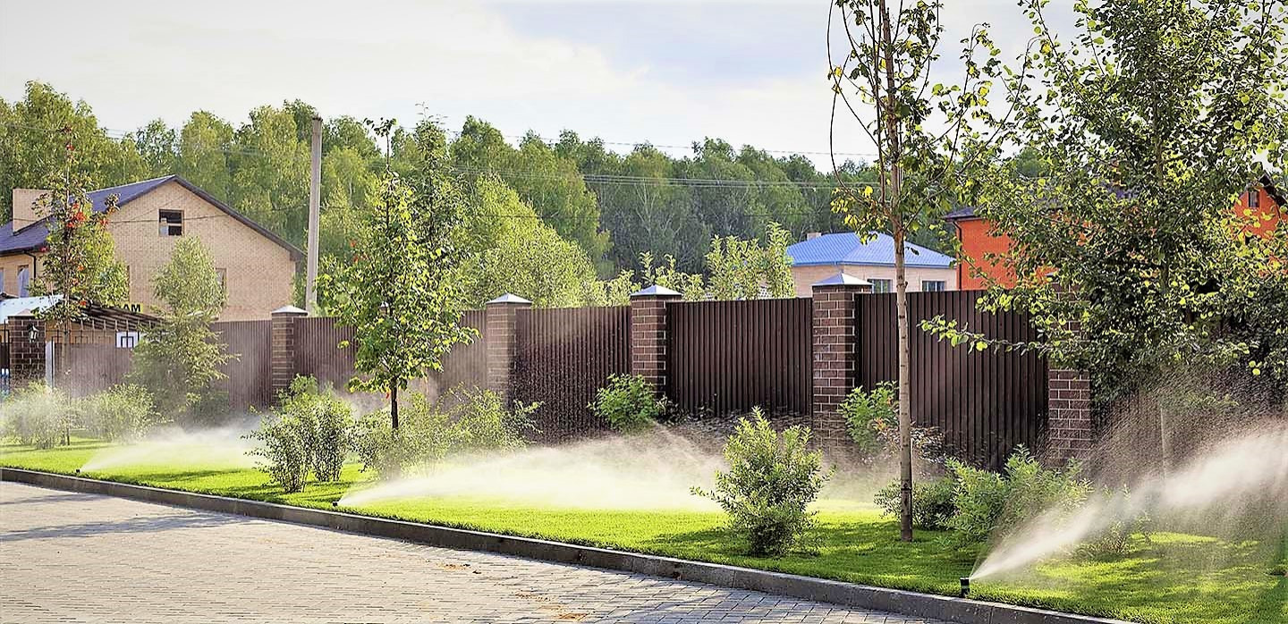 Вавиловец 1