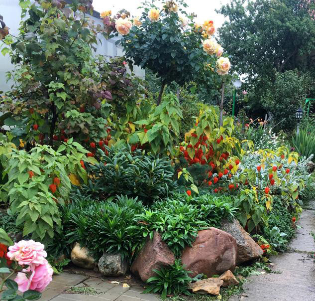 Обложка проекта: Ландшафтный проект узкого участка