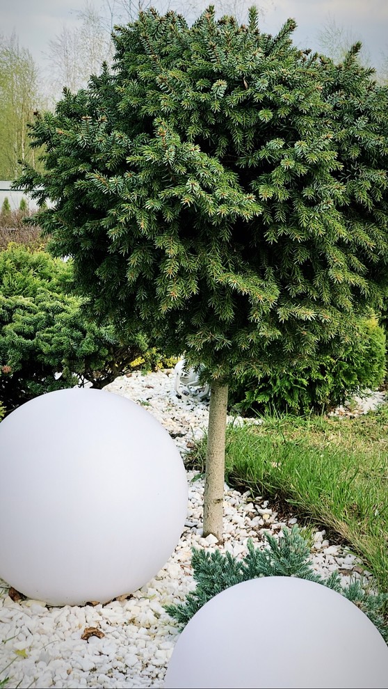 Сад "в процессе..."