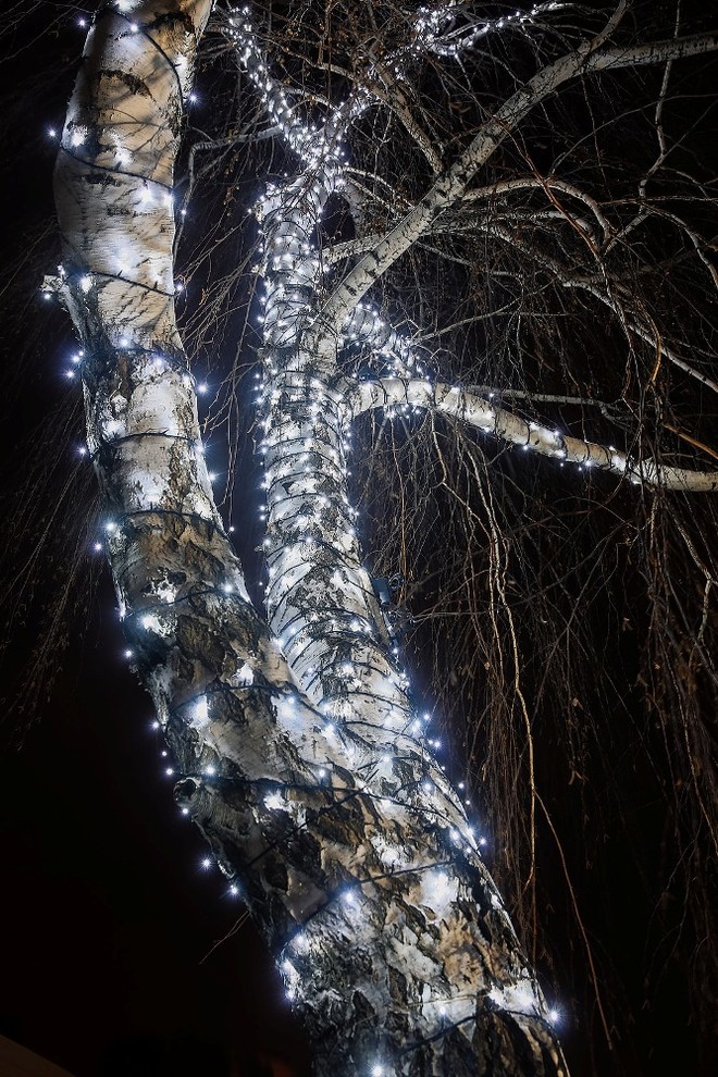 Новогоднее украшение сада и коттеджа