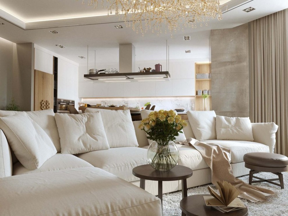 Большая квартира у Финского залива