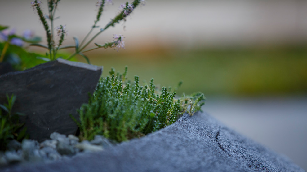 Вазоны и кашпо