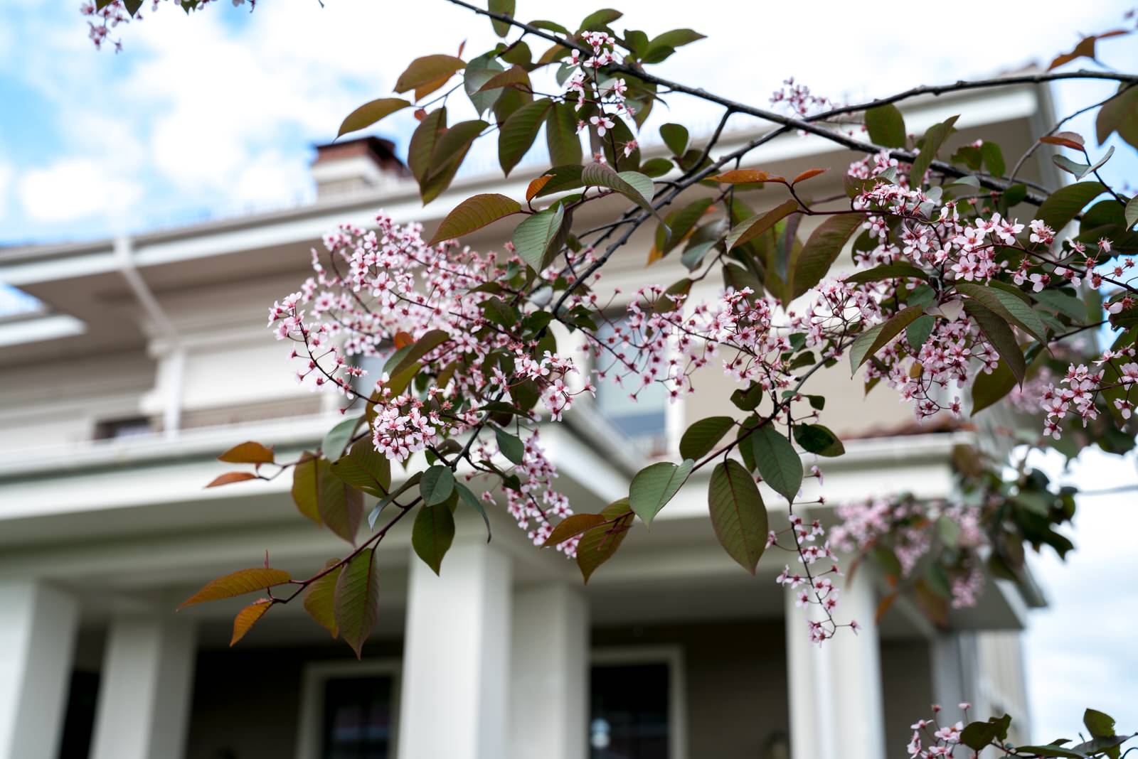 Игра контрастов. Миллениум Парк 2018 г.