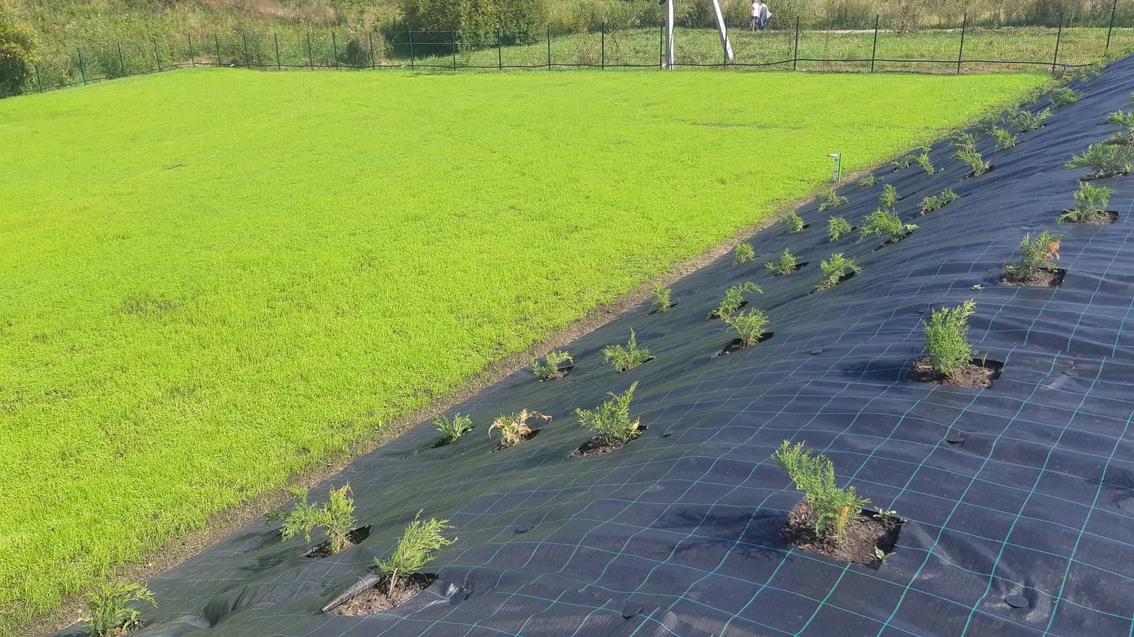 Обложка проекта: Парк Здоровье