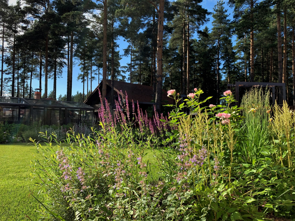 На солнечной поляне