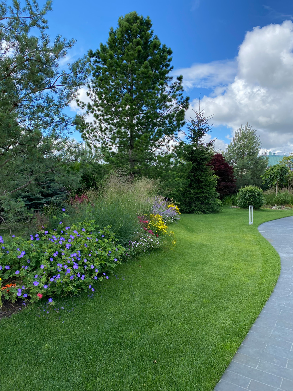 КП Пестово "Evergreen'