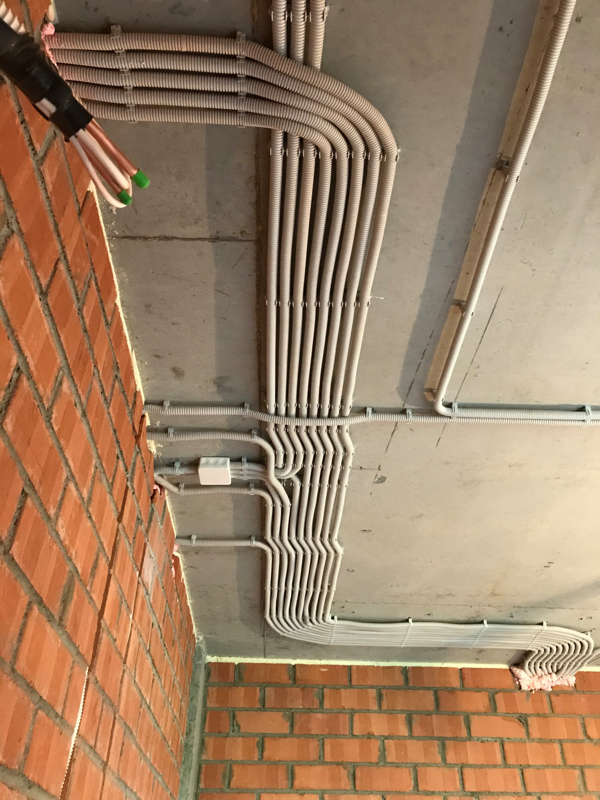 Антон Рубайло