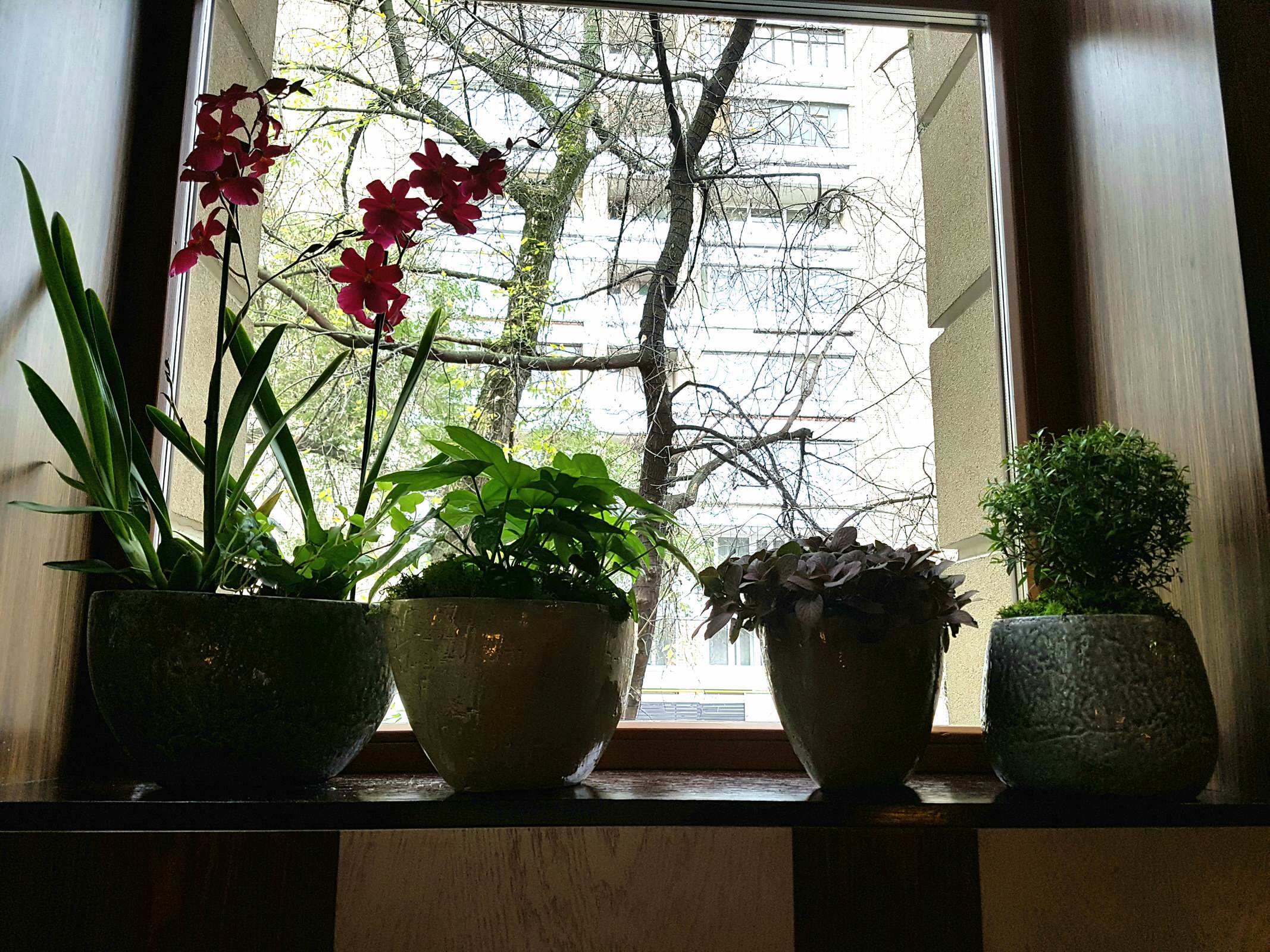 ресторан Аист на Малой Бронной