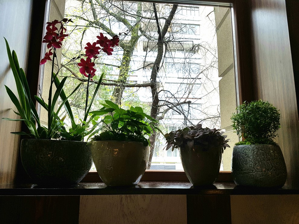 ресторан Аист на Малой Бронной