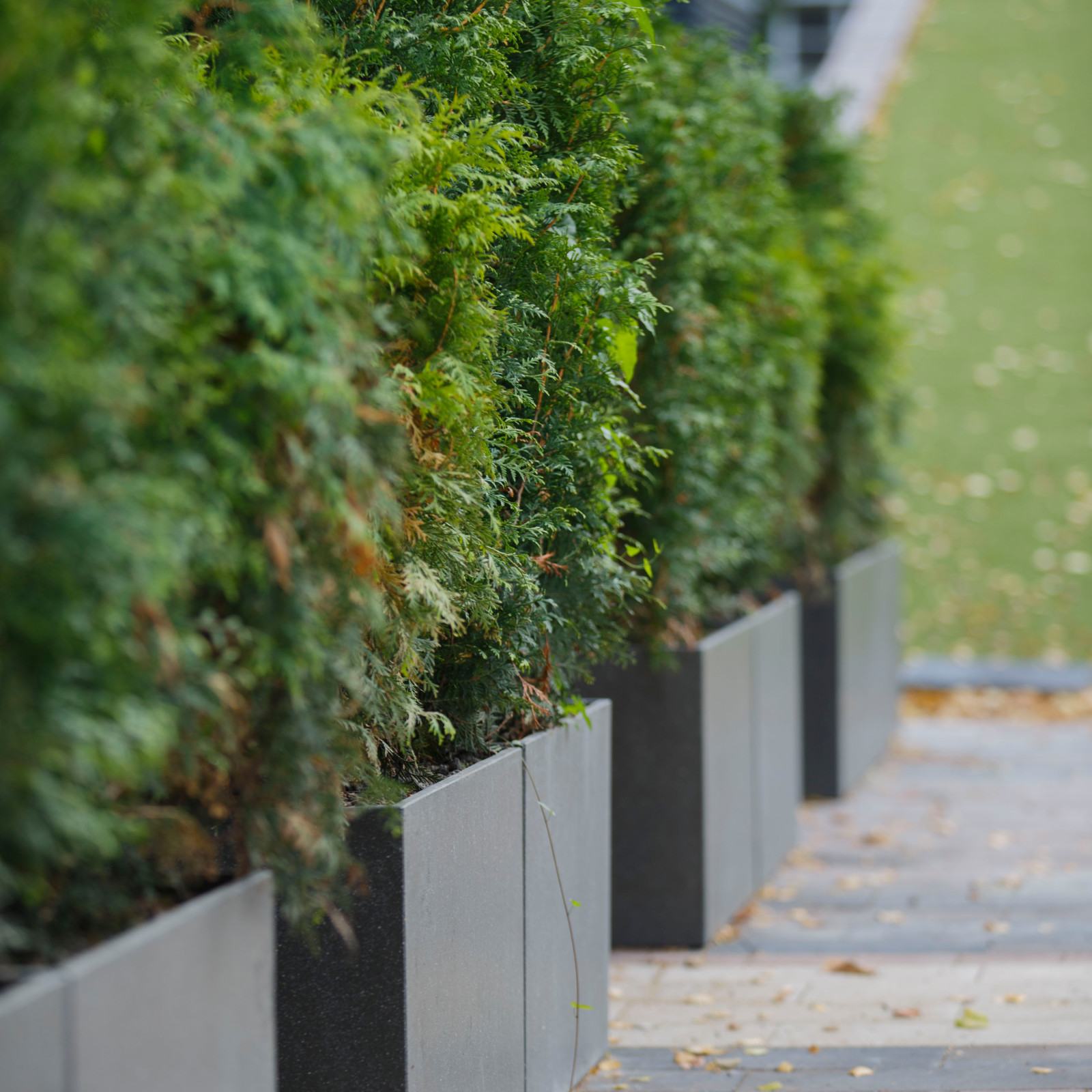 Уличные кашпо