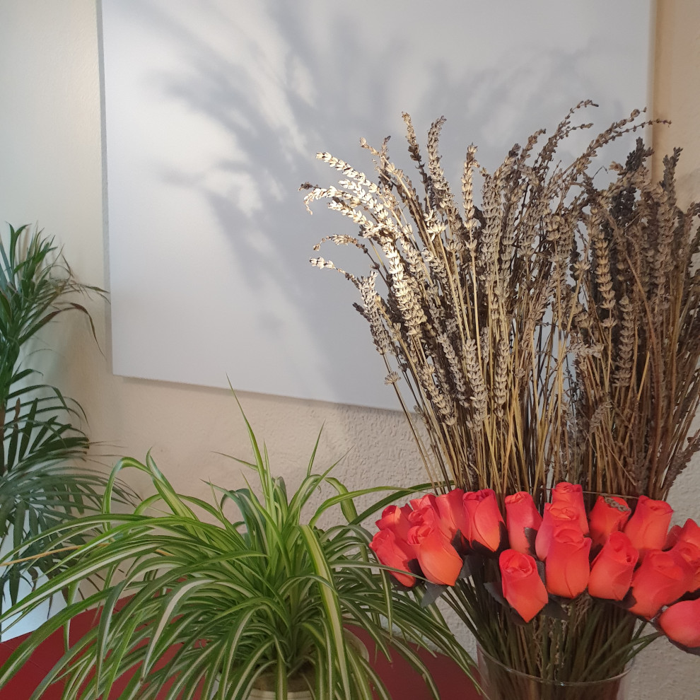 3-Zimmer Wohnung in Hamburg-Stellingen