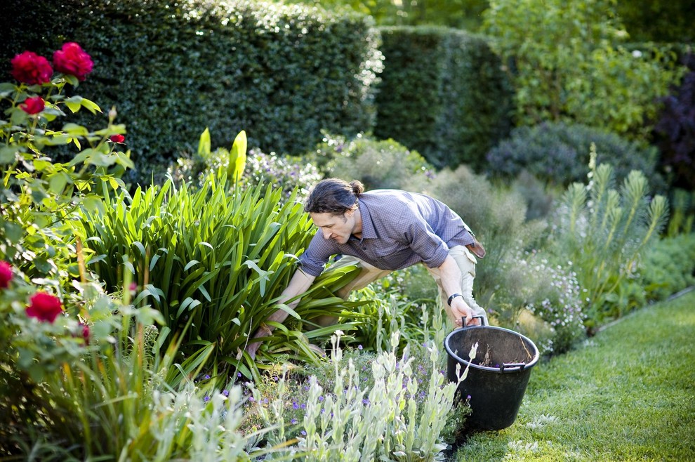 Сила трав: Календарь садовода на июнь