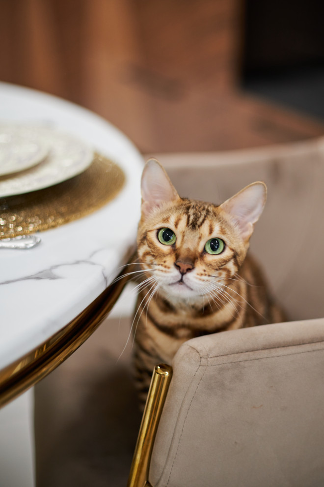 Chebotarev Studio фотосъёмка интерьера