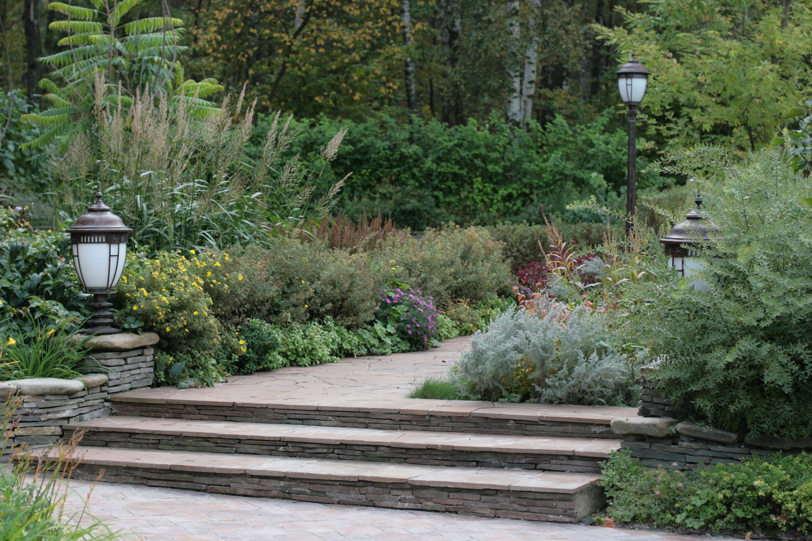 Бельгийка 01