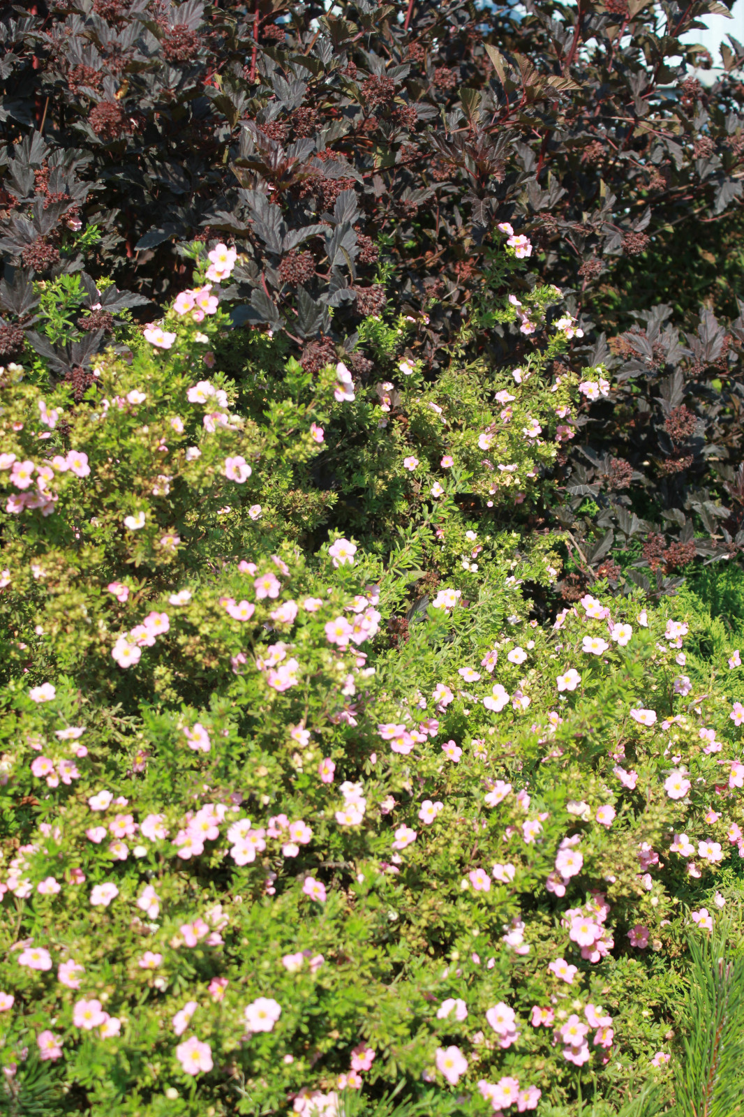 В гостях у Сказки