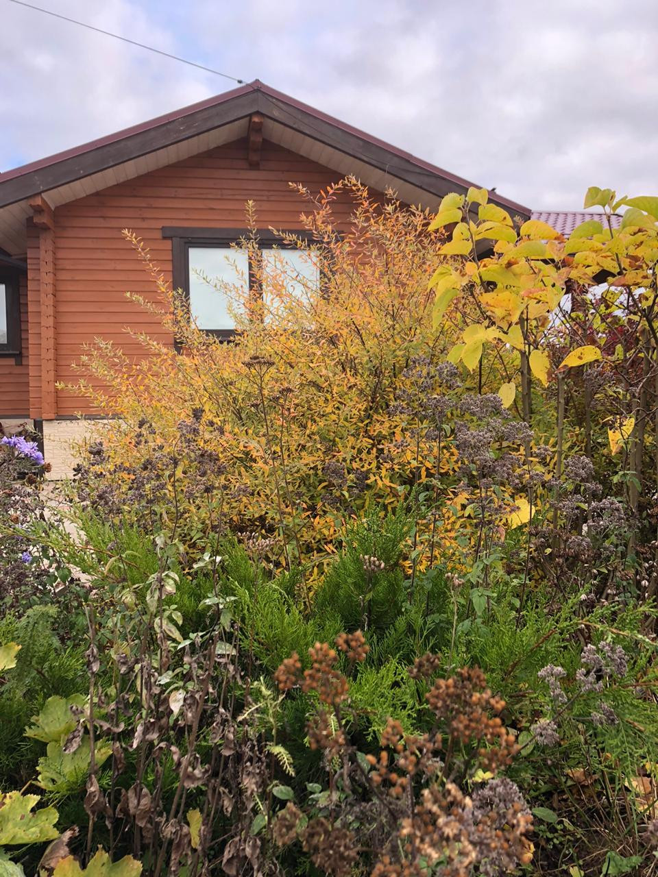 Сад трав и цветов.