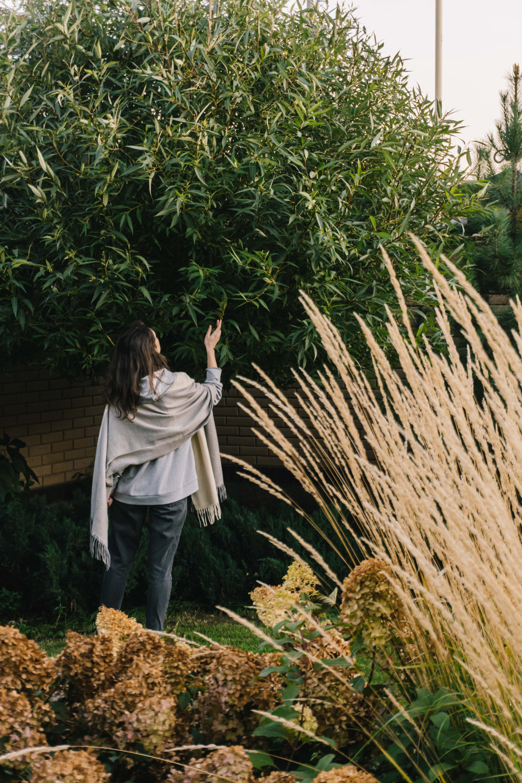 Сад с подпорными стенами