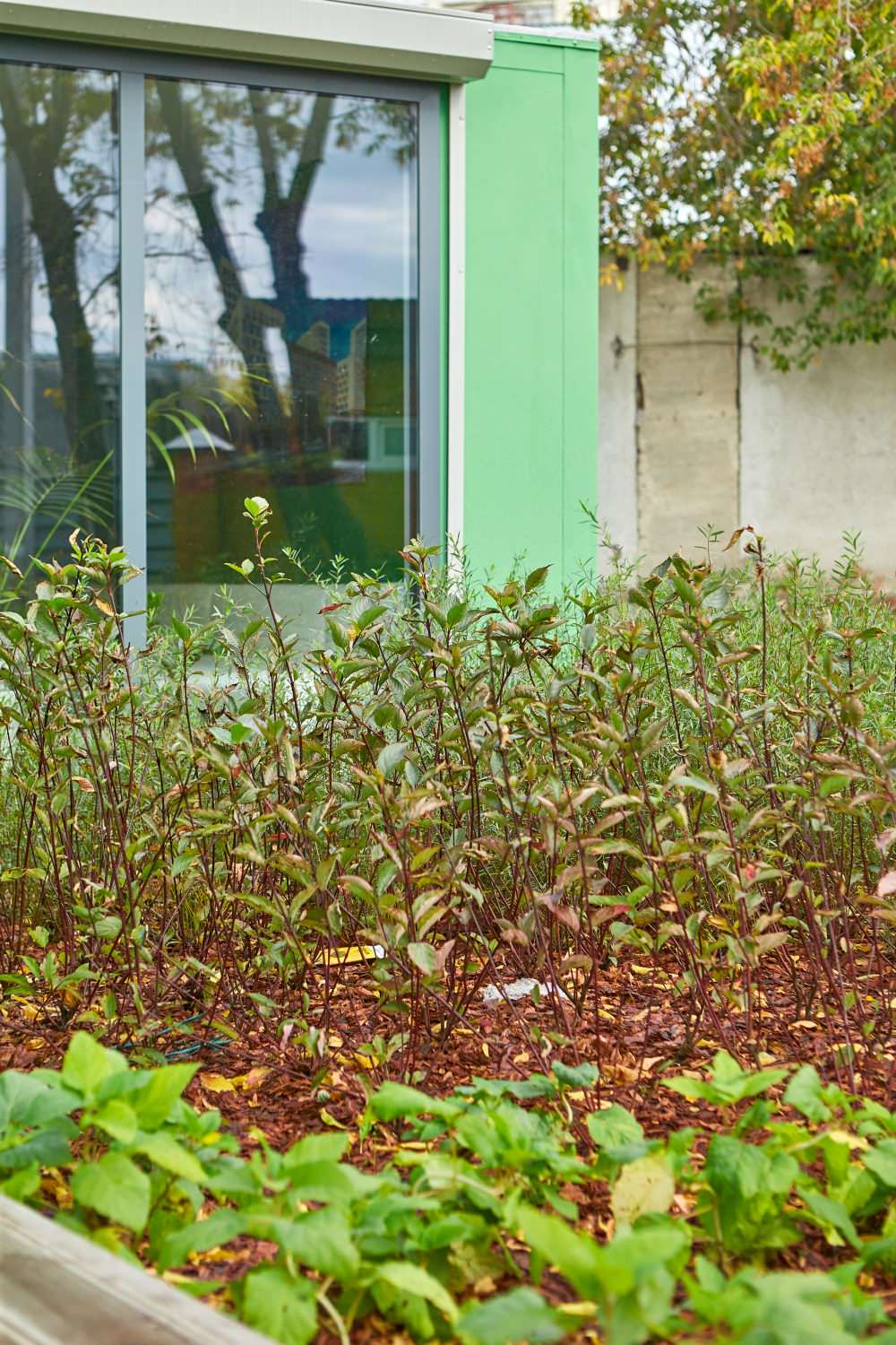 ЖК "Южные кварталы" Офис продаж