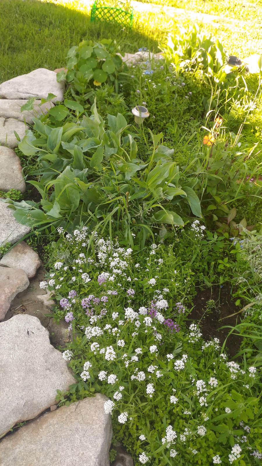Серия "Любимый дом" Вид из окна