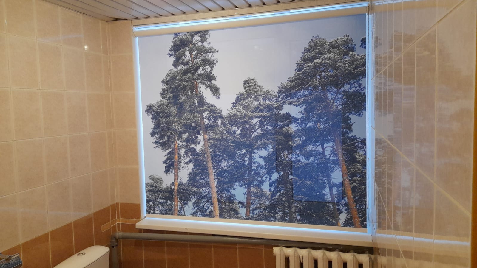 ЦРО-7, Истринский район, Куйбышевского Гидроузла