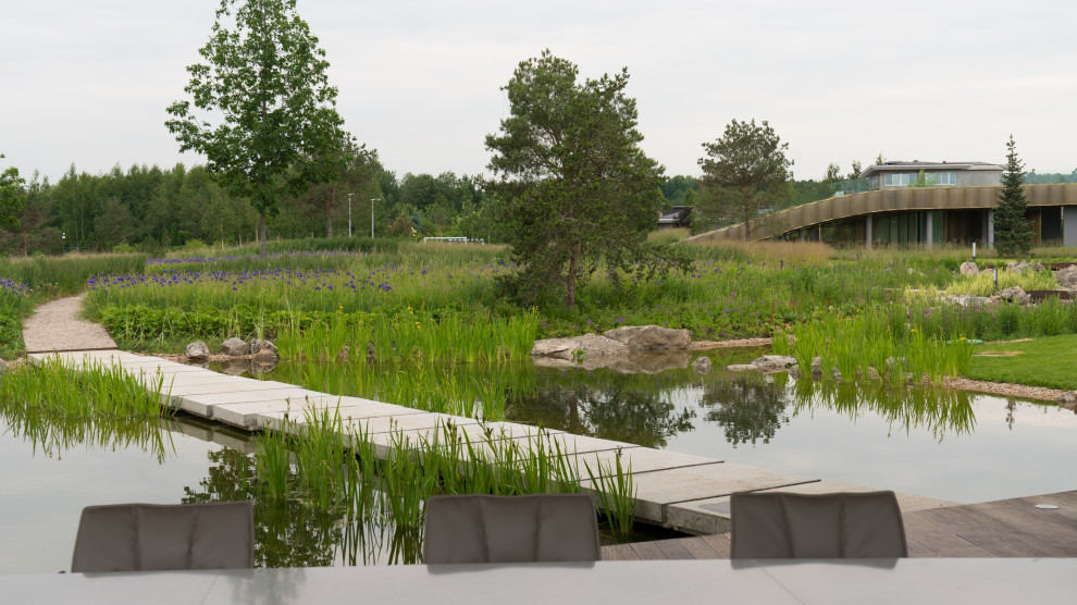 Природный сад. Жуковка XXI век. 2017-2018 гг.