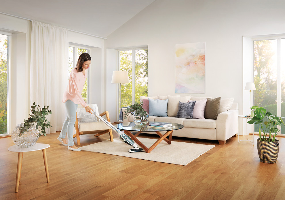 Electrolux Ergorapido Spring Edition