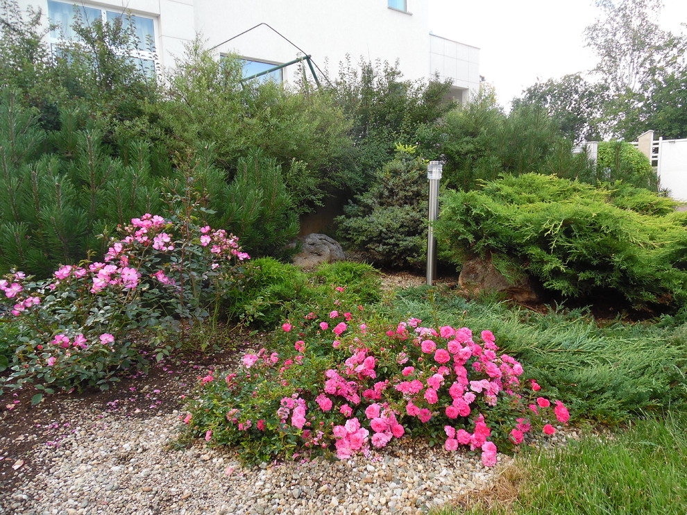 Маленький камерный сад.