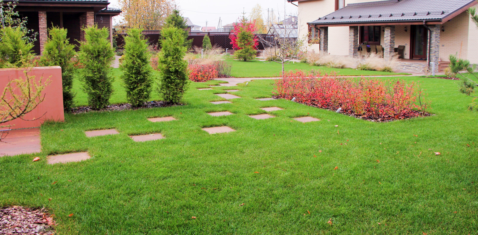 Петровское, 2018-2020 гг.