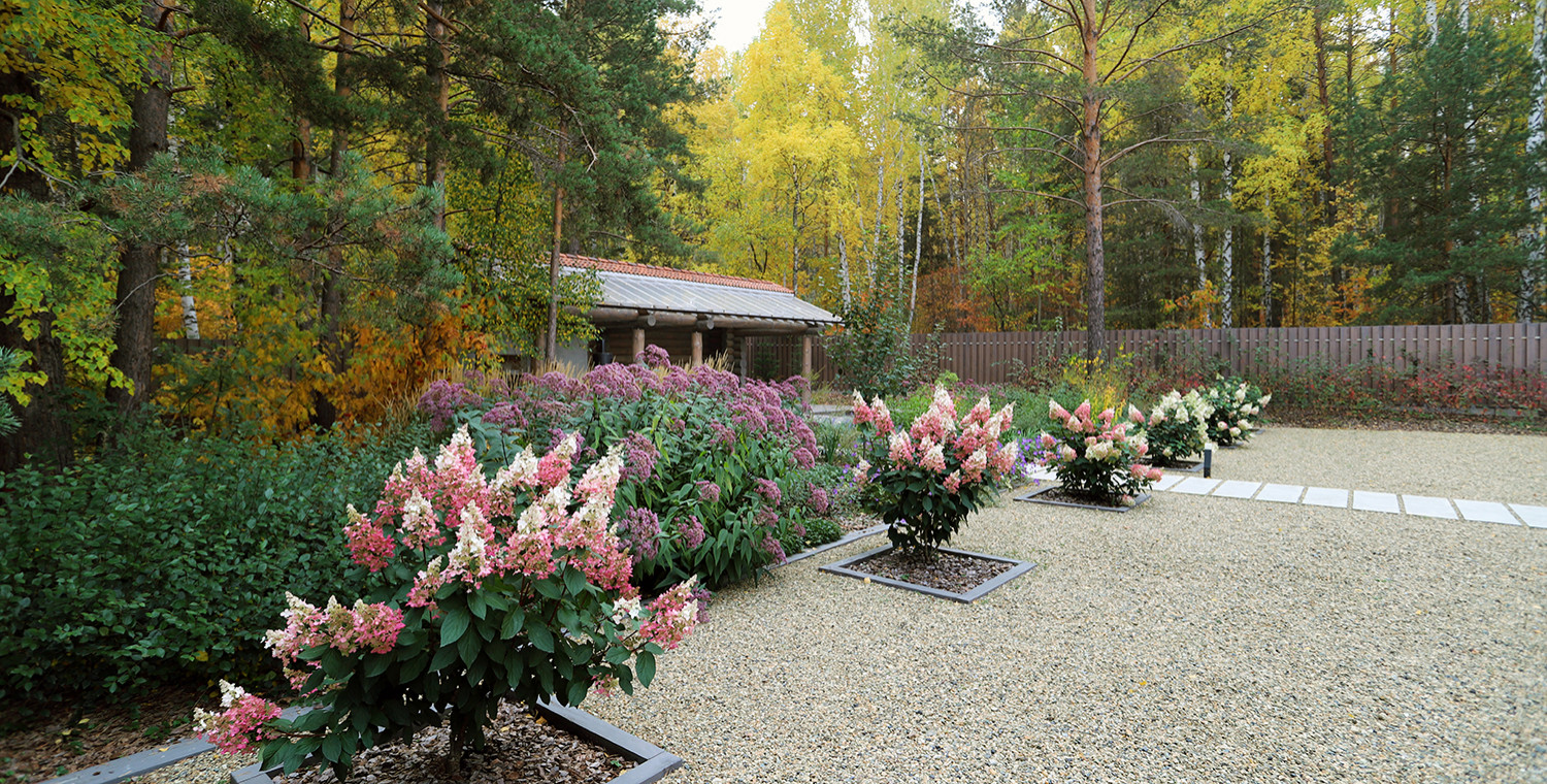 Сад у тёмных бревен