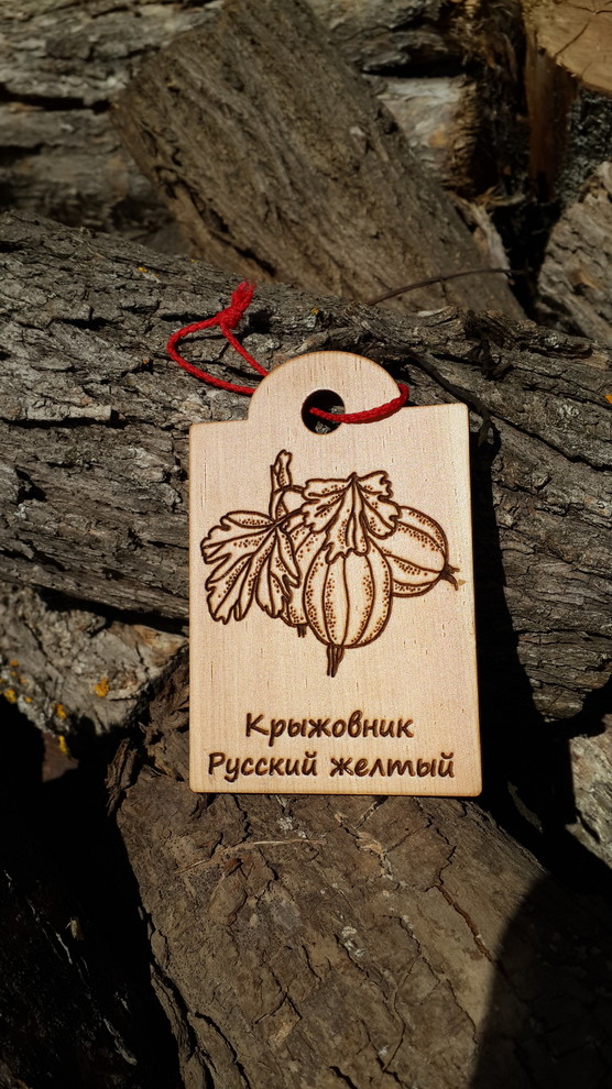 Идеи modnyegriadki