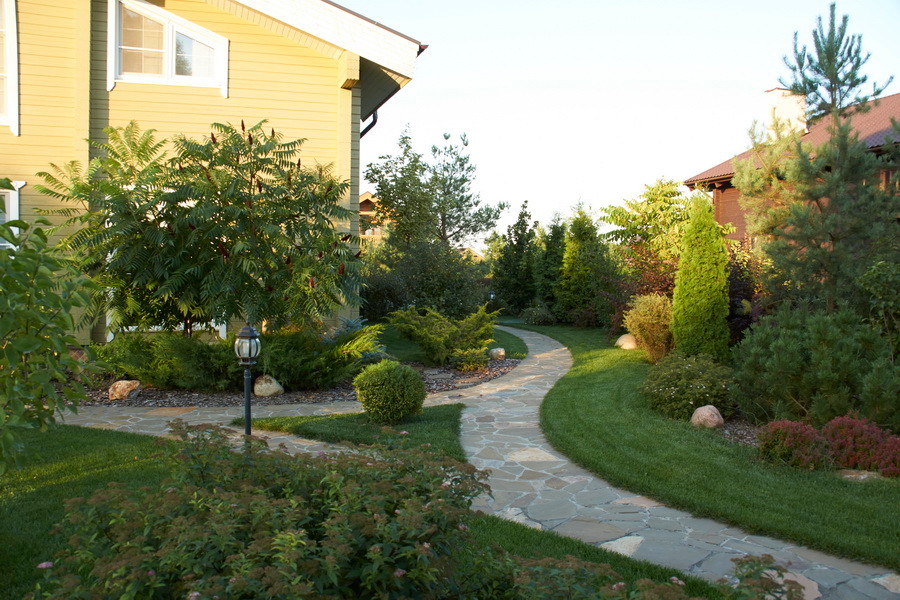 Витро Кантри