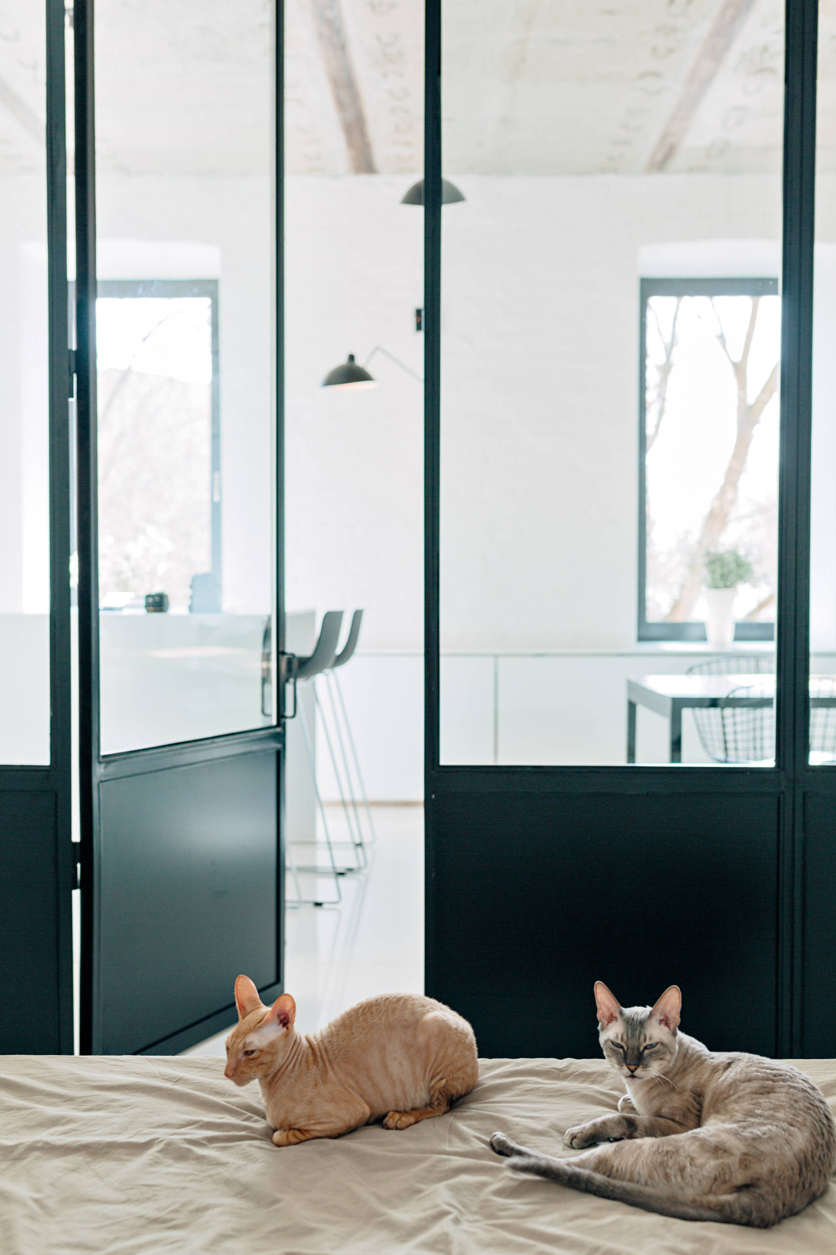 Houzz тур: Игра на контрастах в бывшем доходном доме