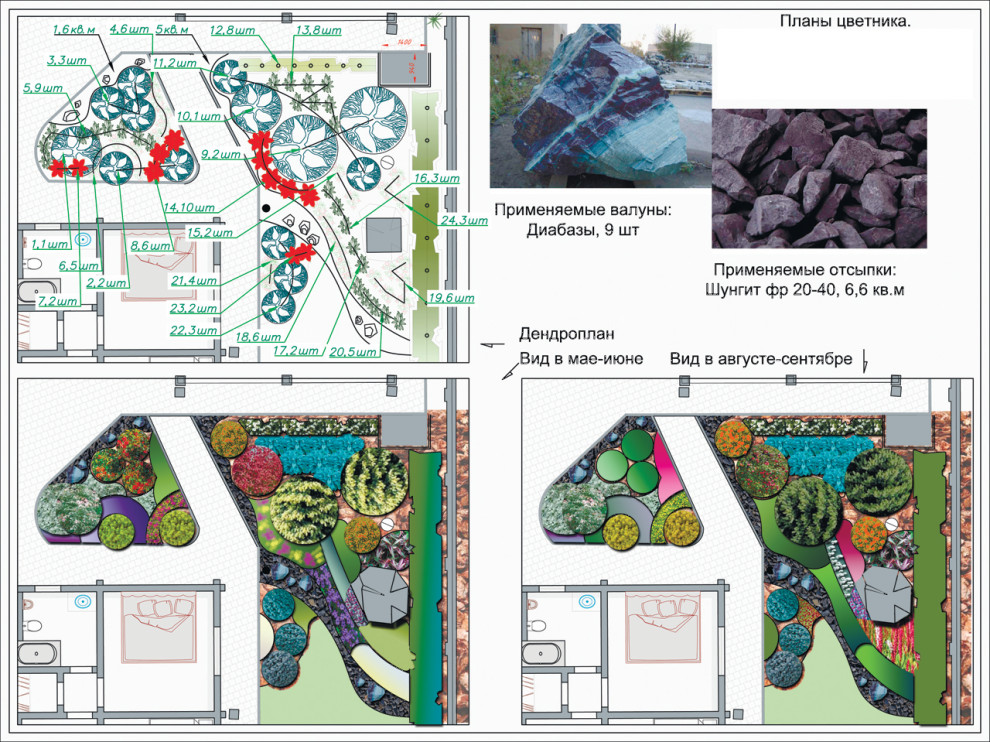 Сад в сосновом лесу
