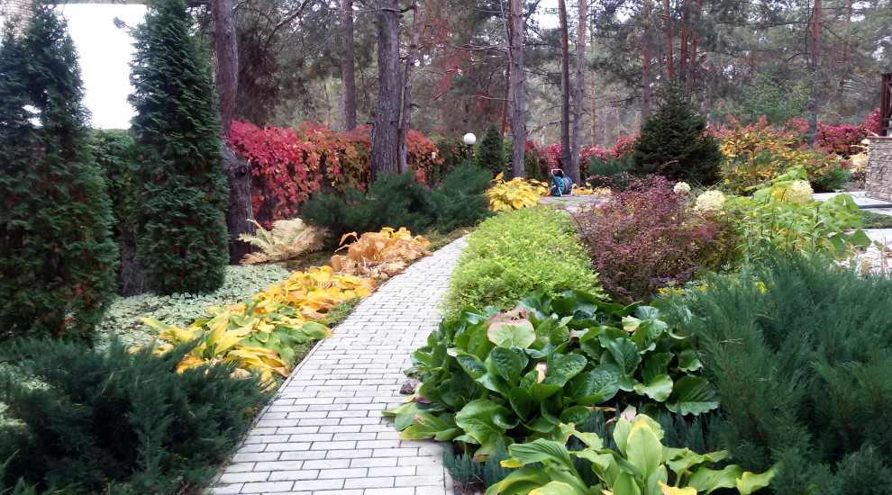 Обложка проекта: Сосновый бор