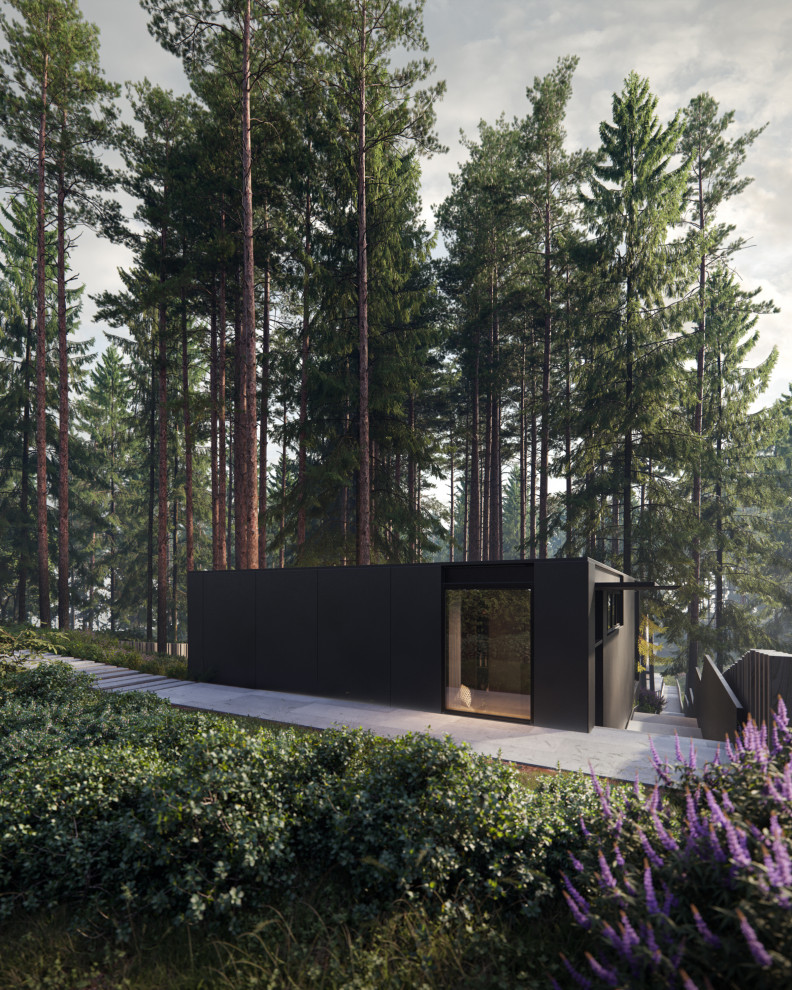 Частный дом в Иславском