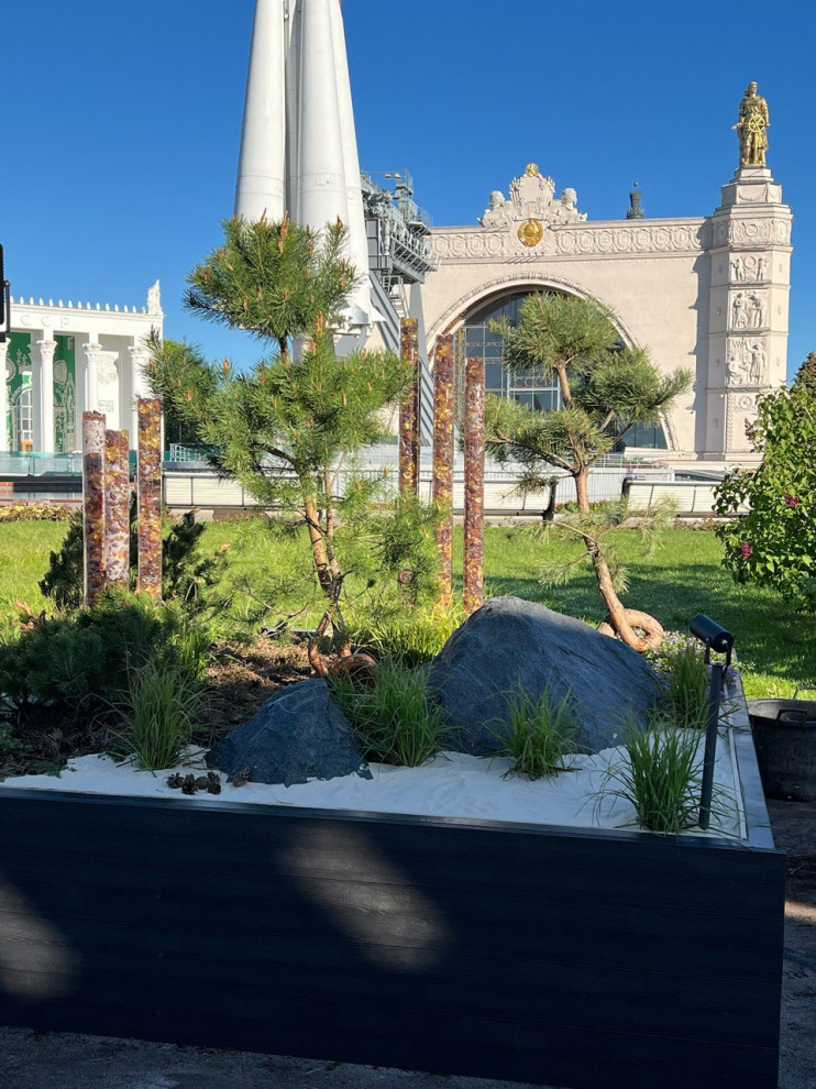 Обложка проекта: ВДНХ Фестиваль "Будущее в цветах" Калиниградская обл.