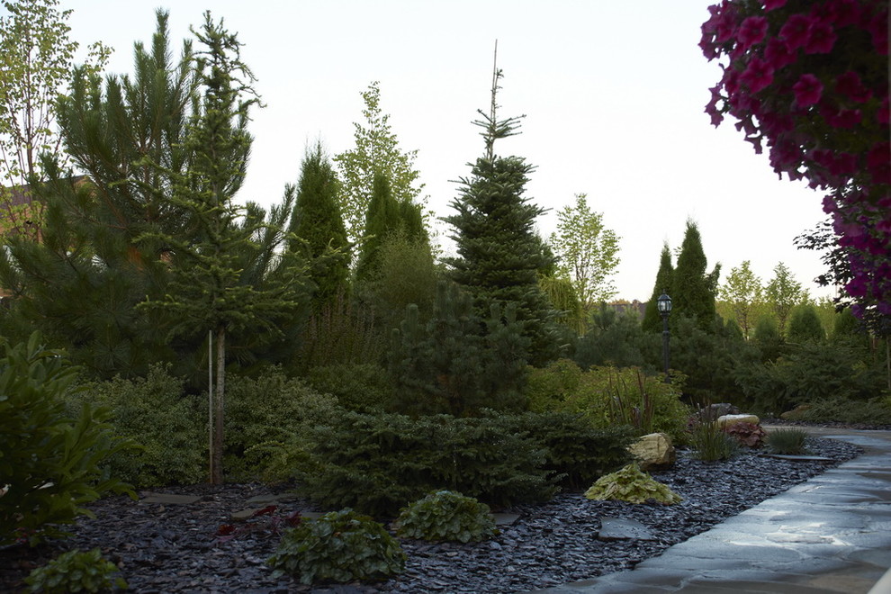 Витро Кантри