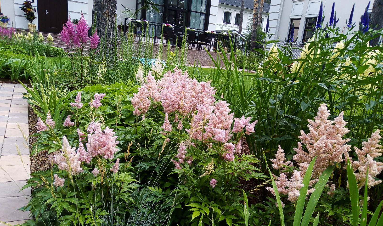 Цветники под пологом леса