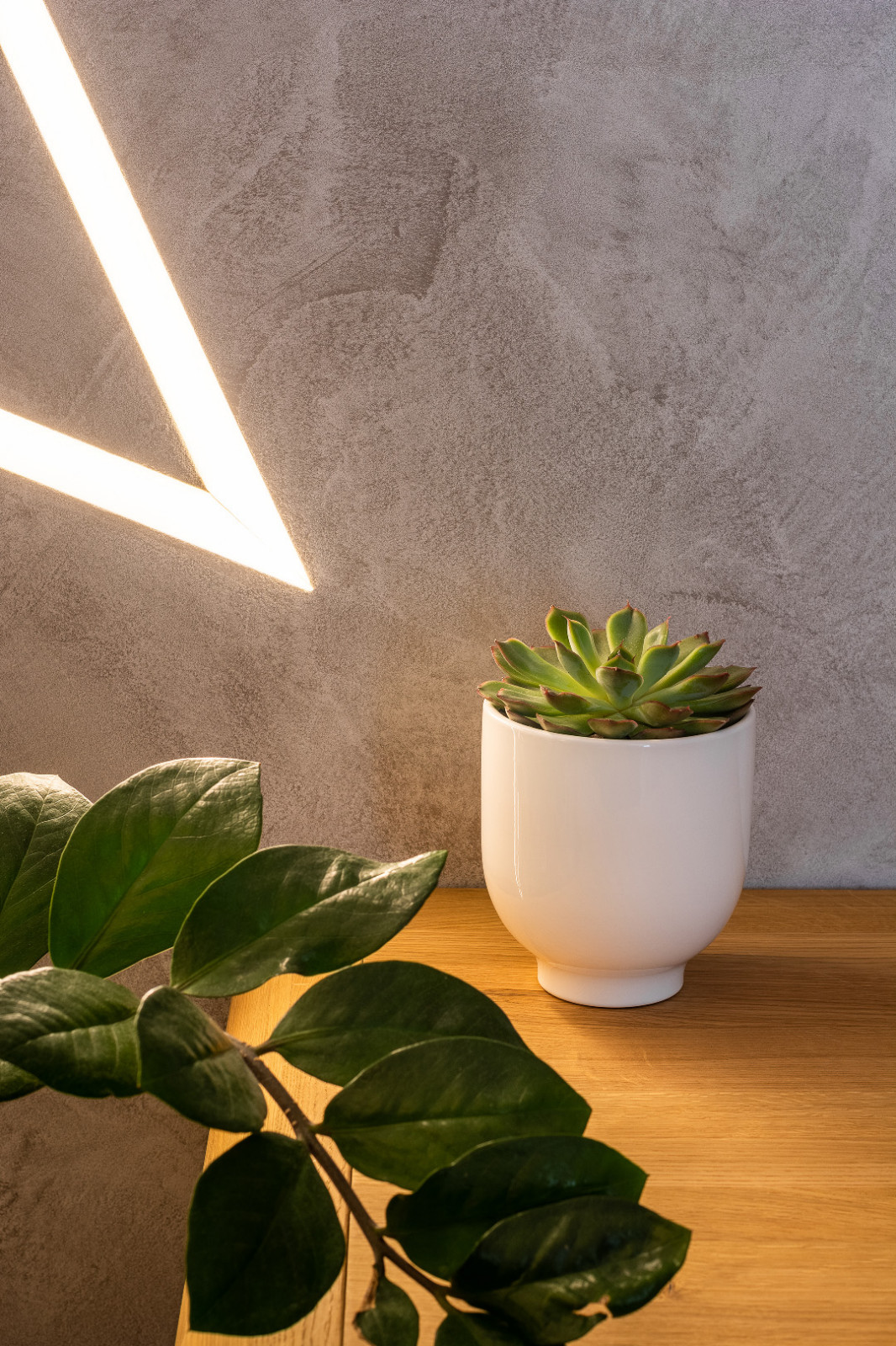 Квартира с видом на собор