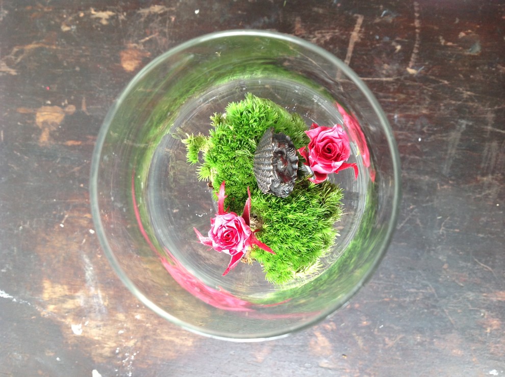 Своими руками: Как сделать декоративный мох основой декора