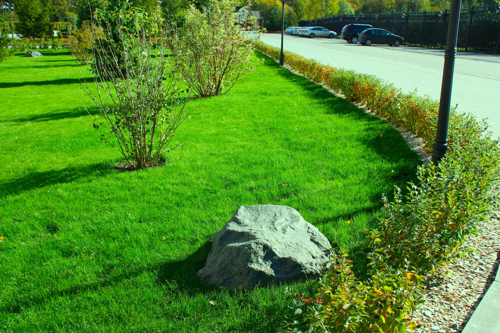 Газон Канада Грин Элитный