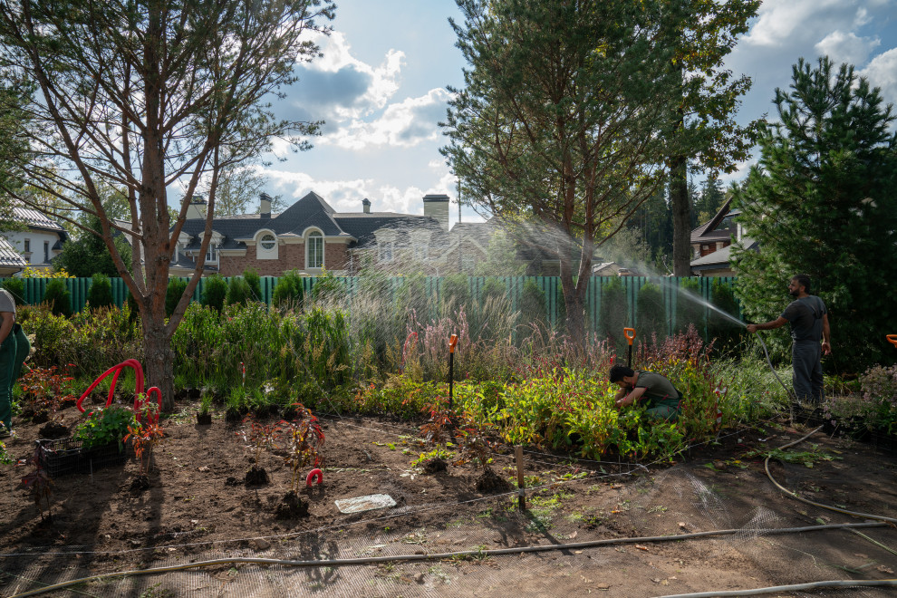 Антоновка. 30 соток. 2023 г.