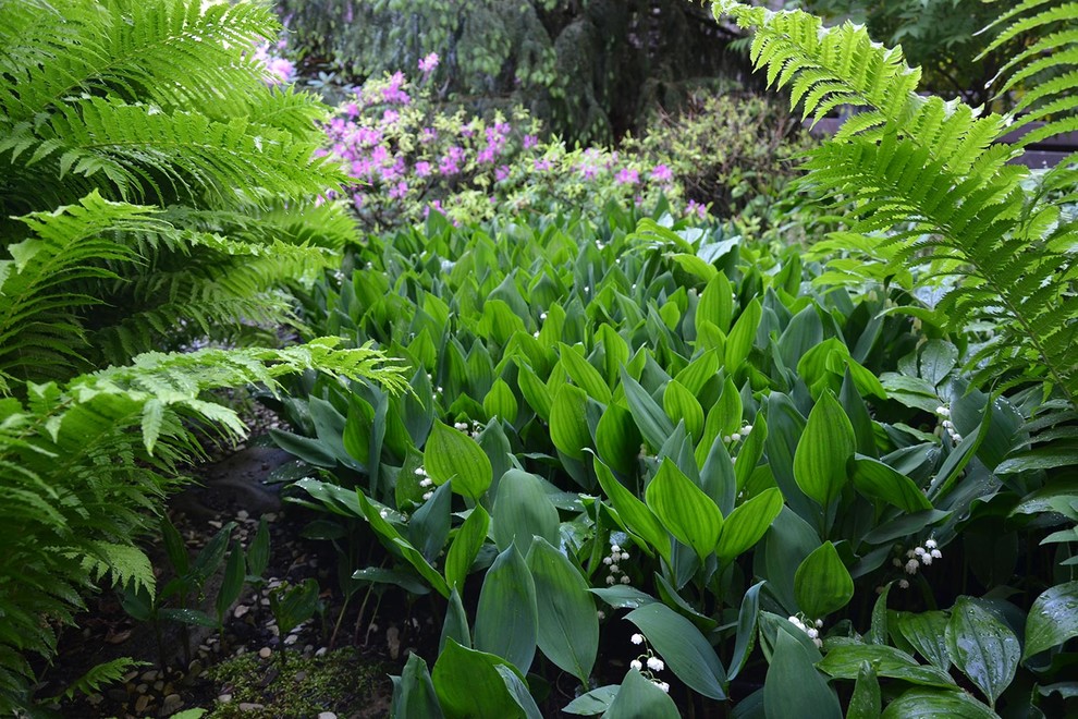 Сад с японским характером в КП Ландшафт